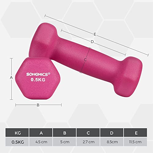 2 db-os súlyzókészlet, 2 x 0,5 kg-os csúszásmentes kézi súlyzók, pink-SONGMICS-Vita Home