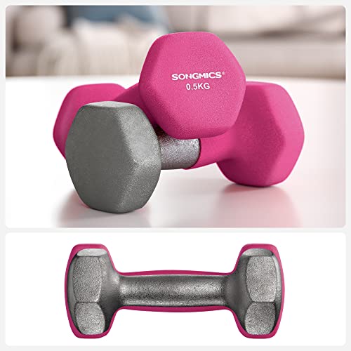2 db-os súlyzókészlet, 2 x 0,5 kg-os csúszásmentes kézi súlyzók, pink-SONGMICS-Vita Home