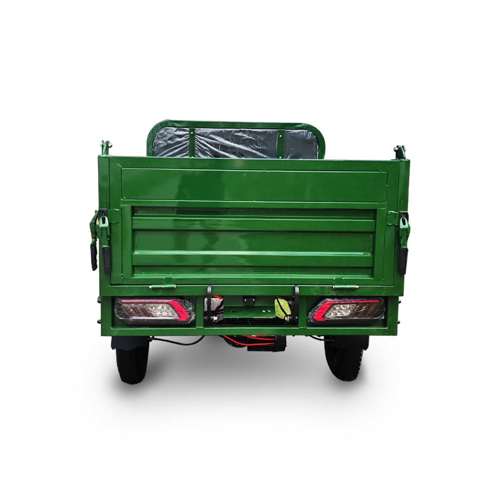 CargoMax 800S električno transportno vozilo, 3000 W, zelene boje
