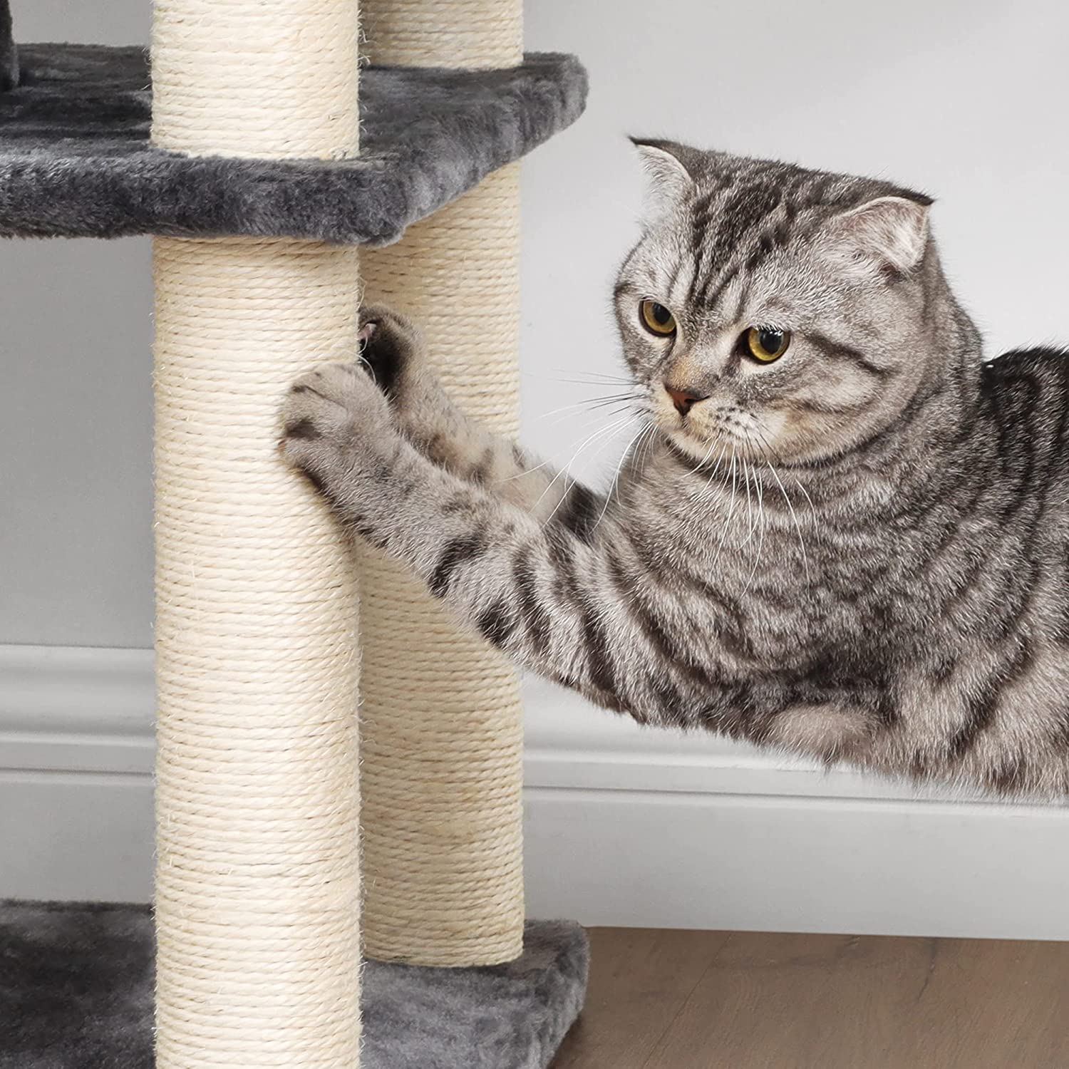 Daska za grebanje, stabilno mačje stablo visine 152 cm | FEANDREA-vitahome.hr