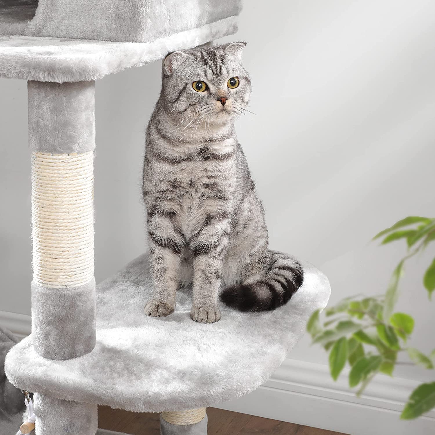 Grebalica za mačke, drvo za mačke s visećim krevetom 154 CM, svijetlo siva | FEANDREA | FEANDREA-vitahome.hr
