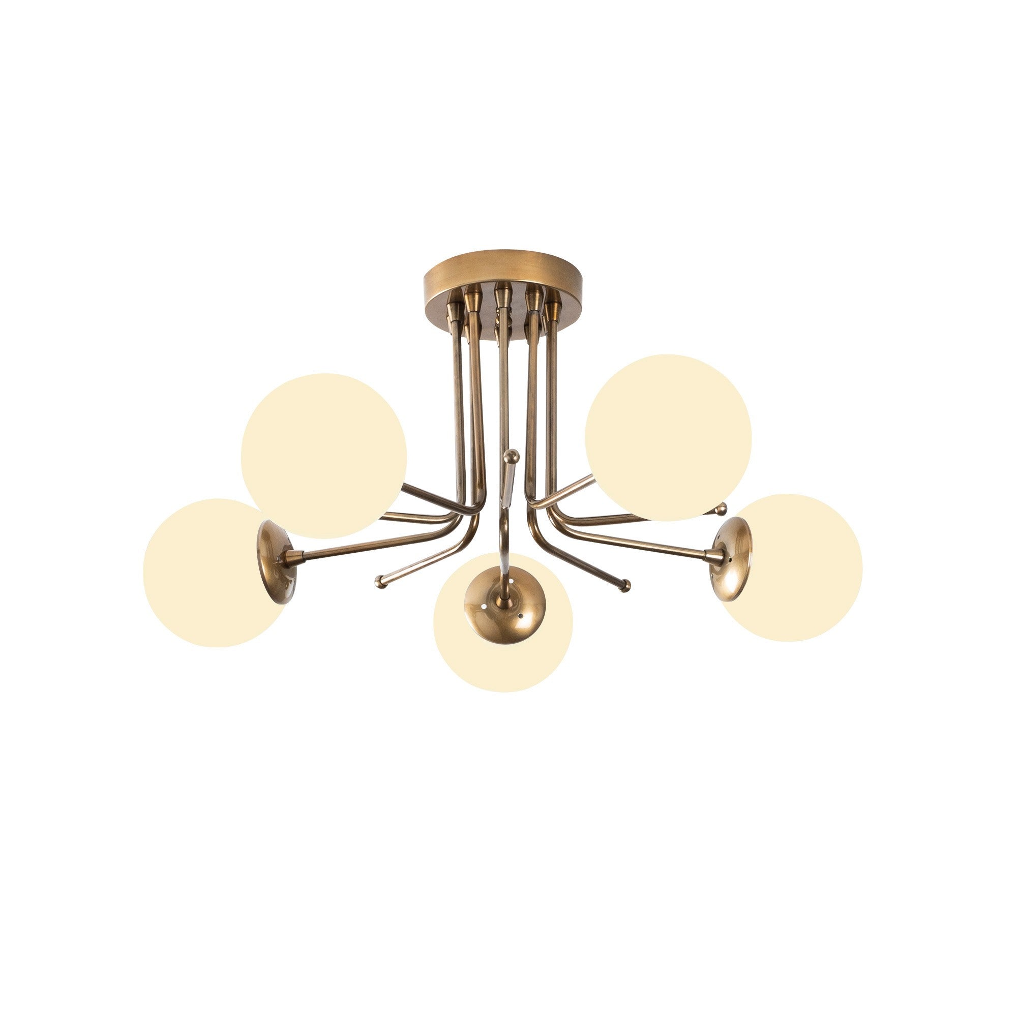 Luster Daisy - 146-AV2 | AG-vitahome.hr
