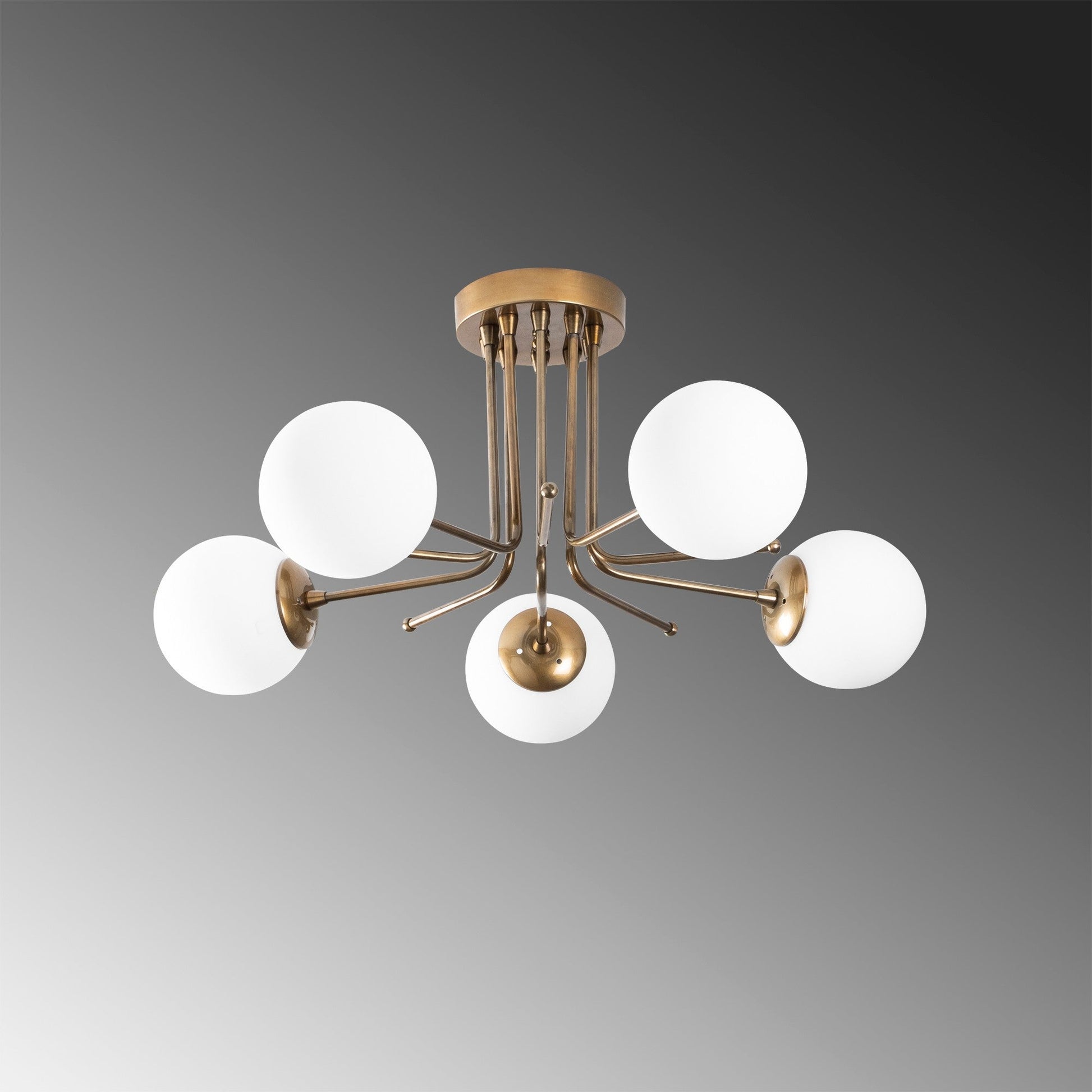 Luster Daisy - 146-AV2 | AG-vitahome.hr
