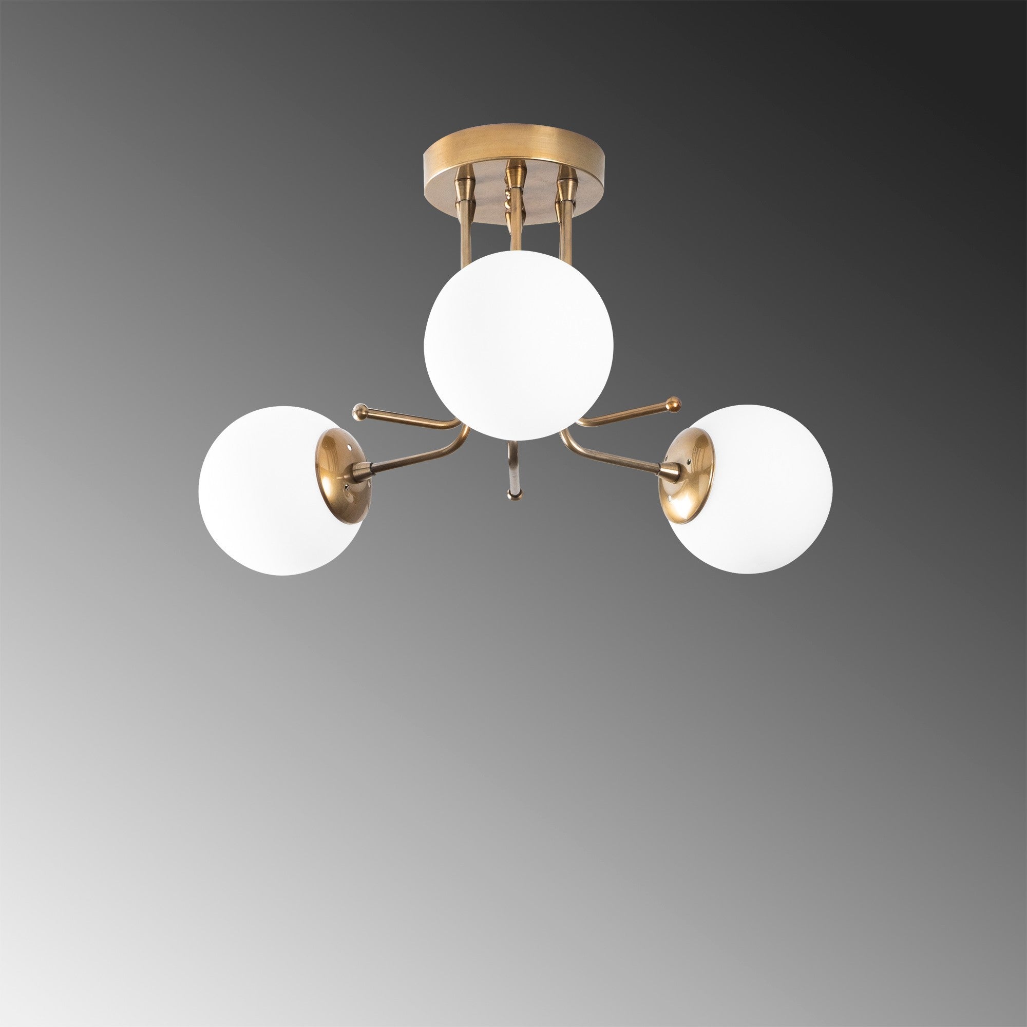 Luster Daisy - 146-AV3 | AG-vitahome.hr
