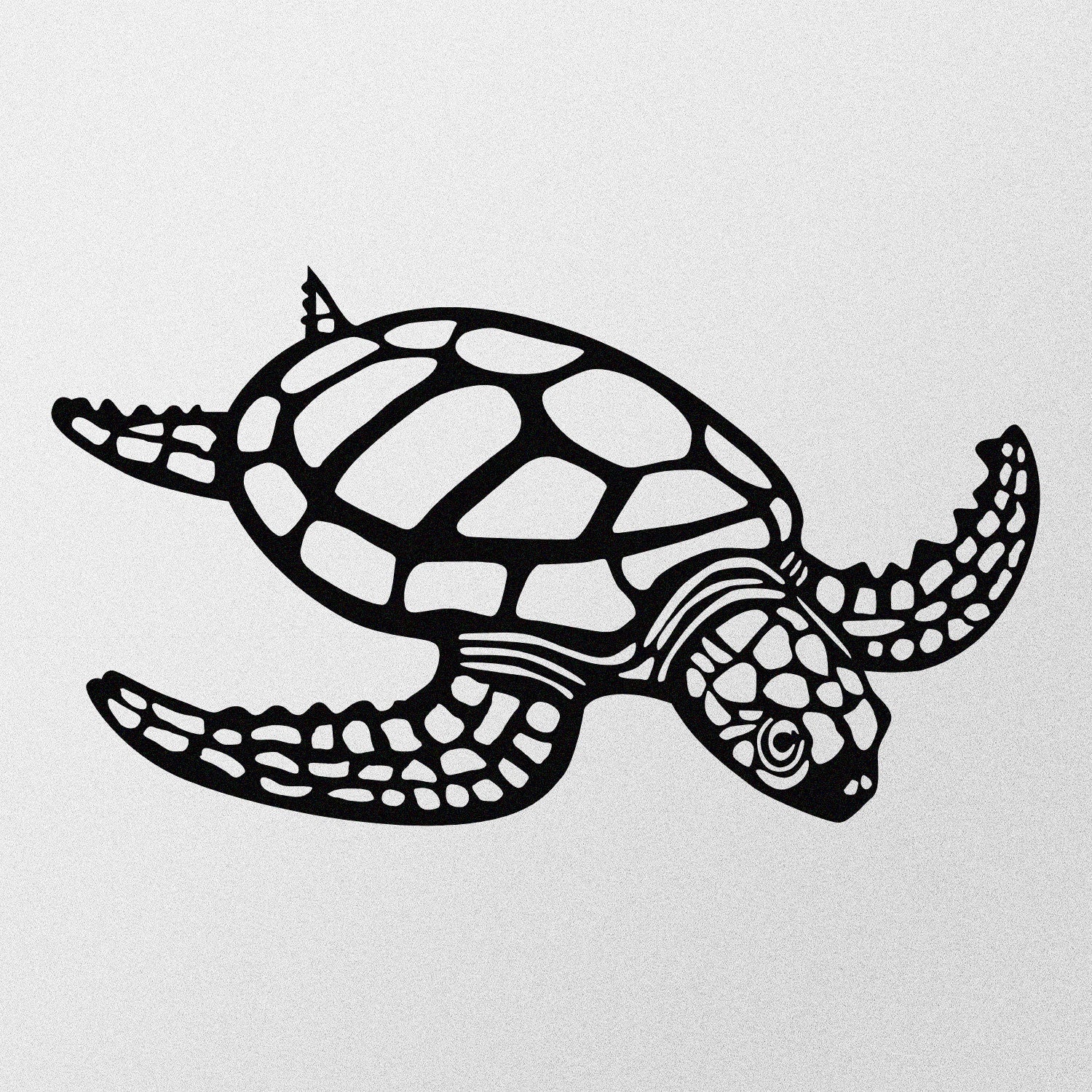 Metalna zidna dekoracija, Caretta Caretta | AG-vitahome.hr