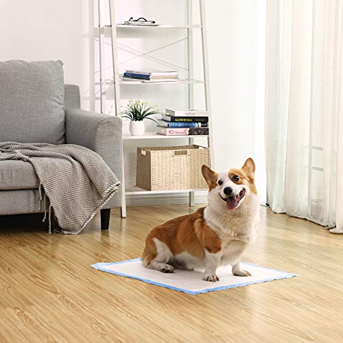 pelene za pse 60 x 60 cm 100 komada