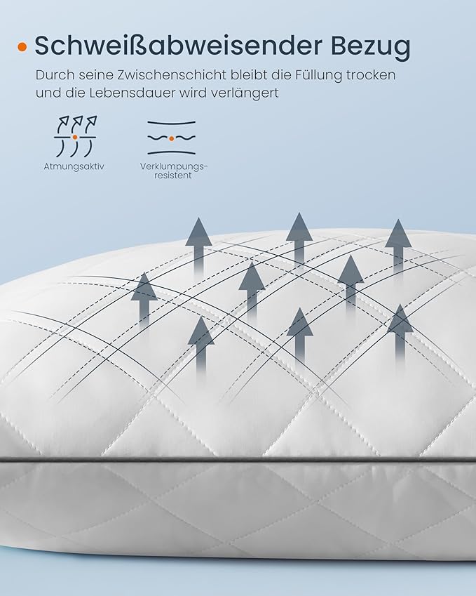 Set jastuka od 2 komada, dvostrani, 80 × 80 cm