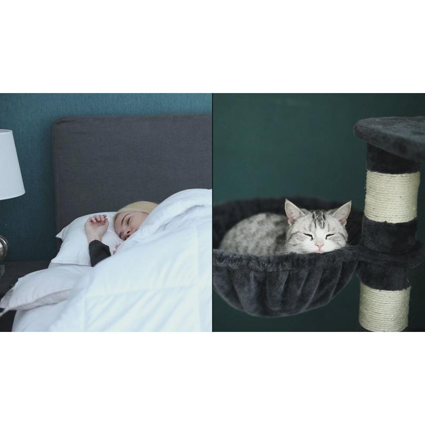 Visoki toranj za mace s grebalicama, hranilicom i kućicom, tamno sivi | FEANDREA | FEANDREA-vitahome.hr
