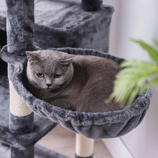 XXL Cat stan 168 cm, Smoky grey | FEANDREA-vitahome.hr