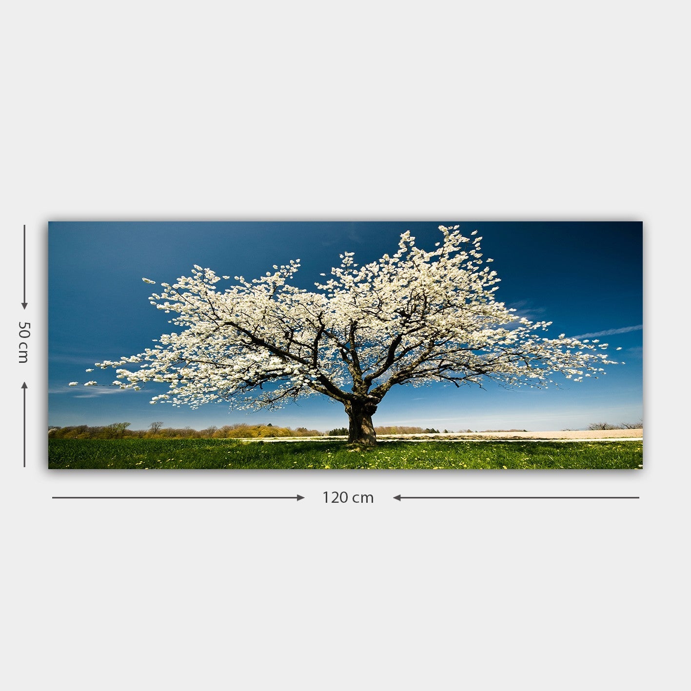 Zidna dekoracija na platnu 451ERN1232 | AG-vitahome.hr