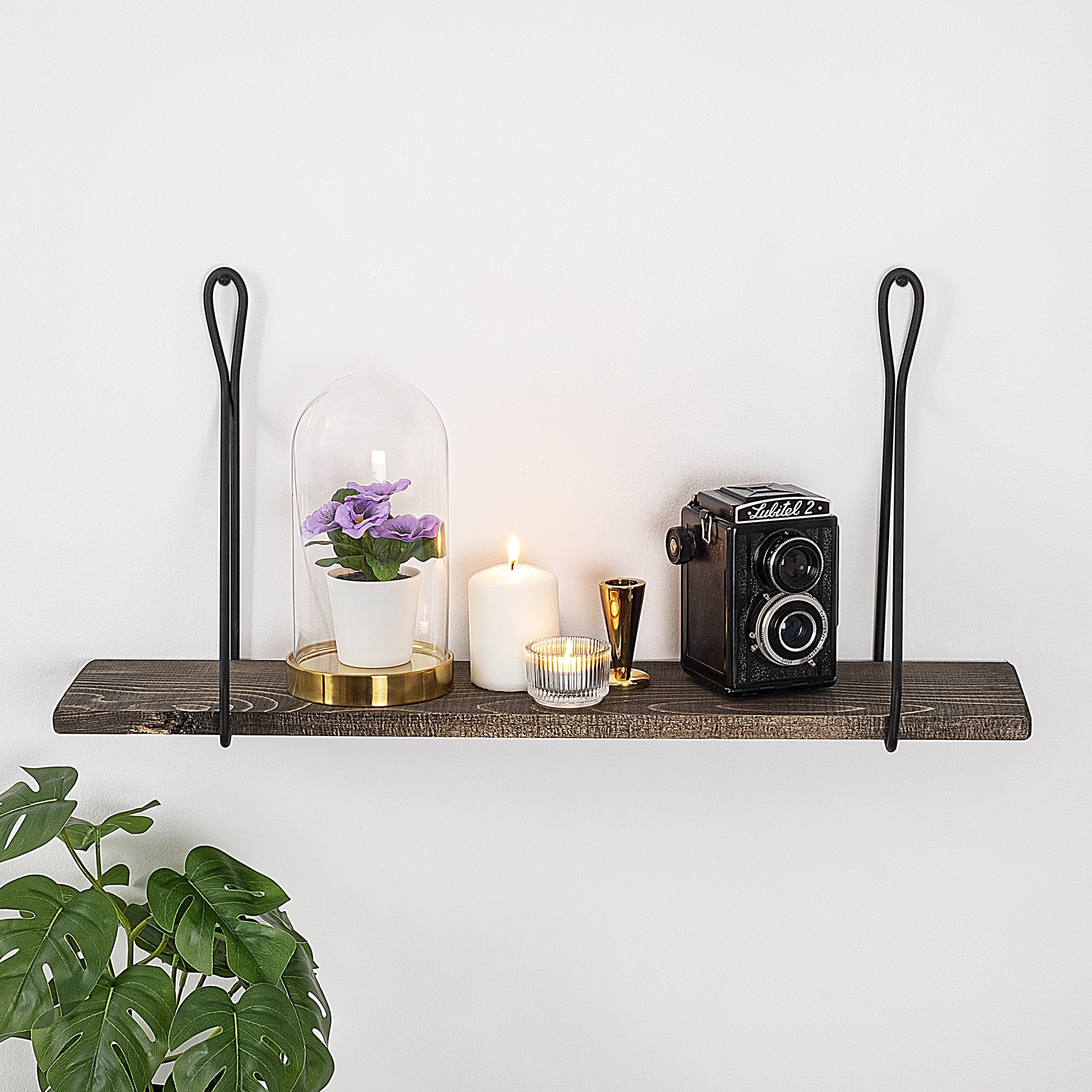 Zidna polica Amaryllis | AG-vitahome.hr